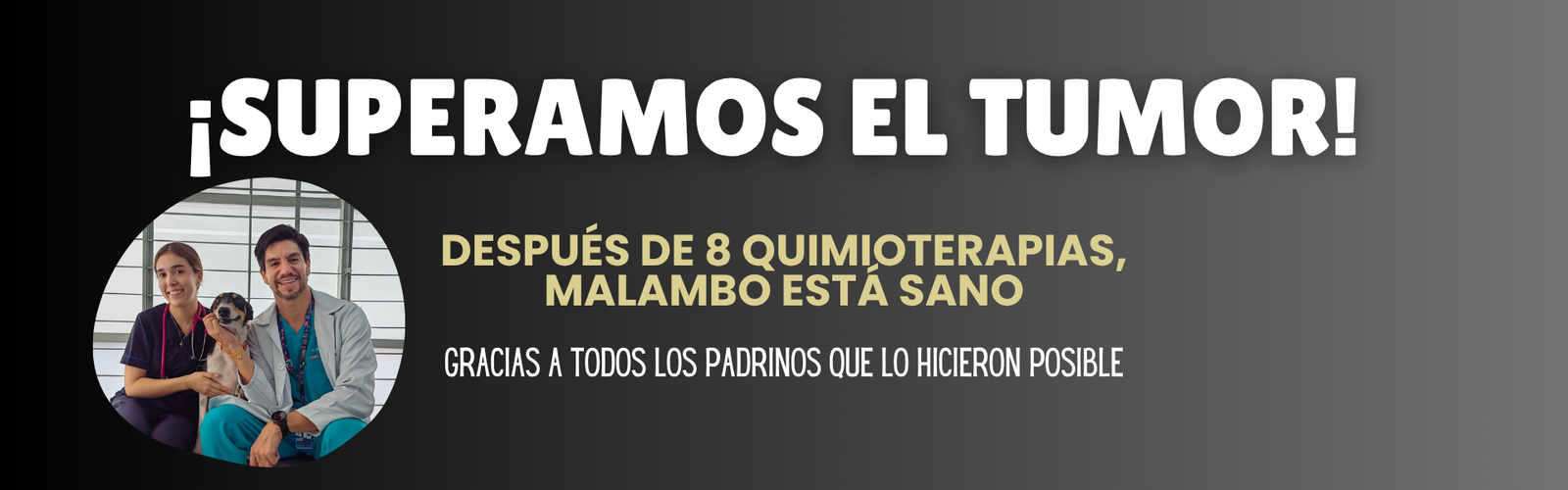 BANNER MALAMBO