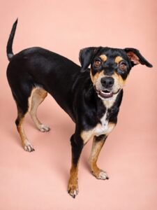 Mila